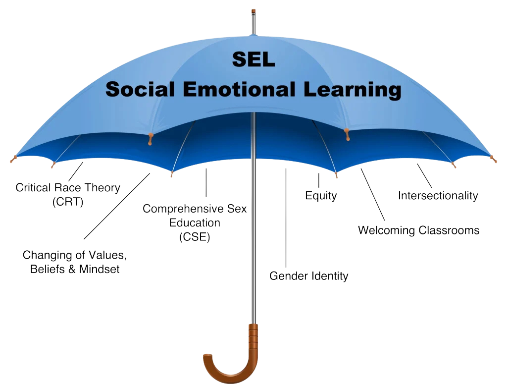 Umbrella diagram of Social Emotional Learning covering CRT, CSE, equity, gender identity, and related topics